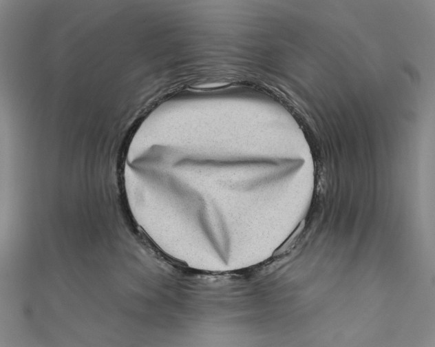 X0000111180524200907221051