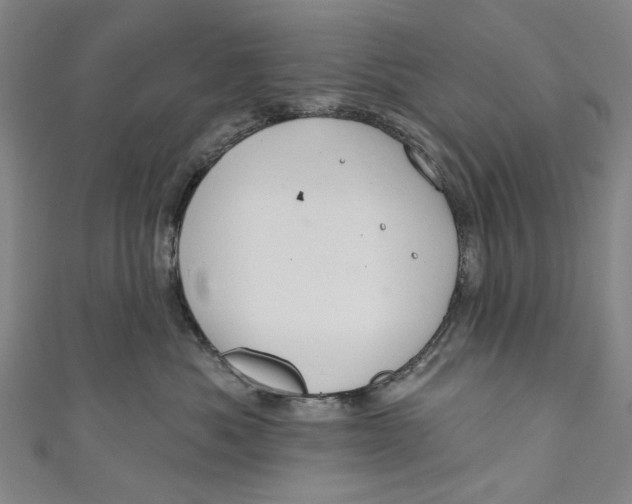 X0000111180525200907221051