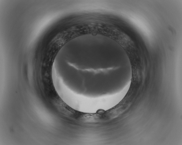 X0000111180526200907221051