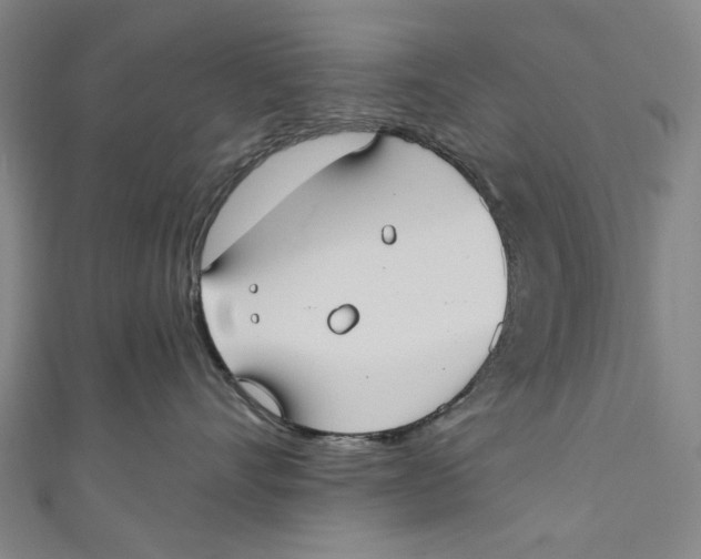 X0000111180528200907221051