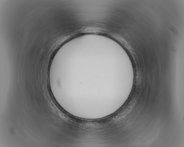 X0000111180529200907221050