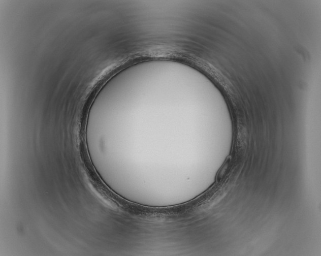 X0000111180530200907221050