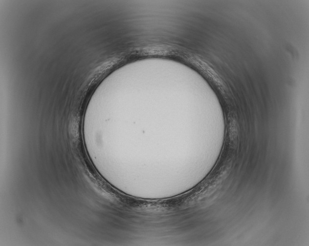 X0000111180537200907221050