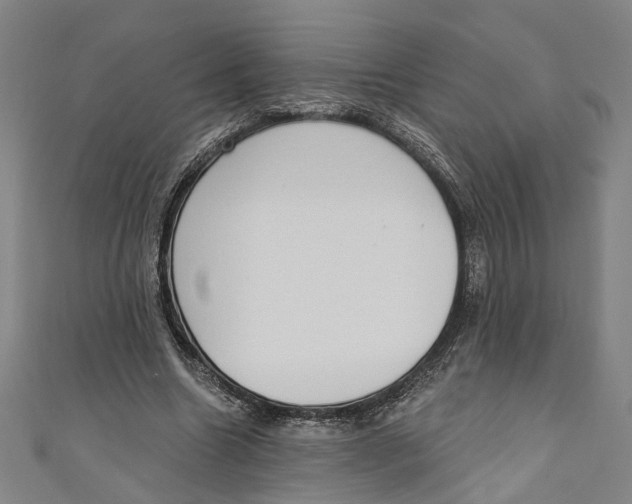 X0000111180538200907221050