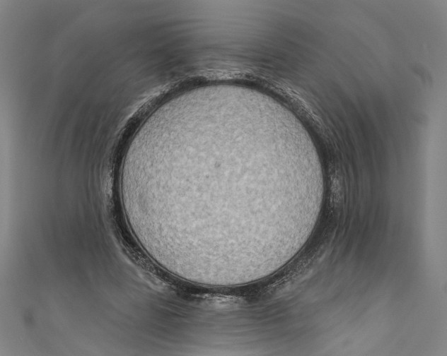 X0000111180539200907221050