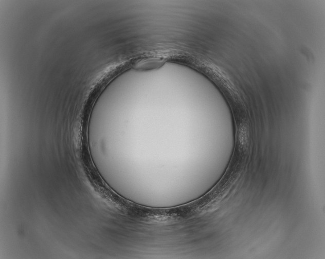 X0000111180540200907221051