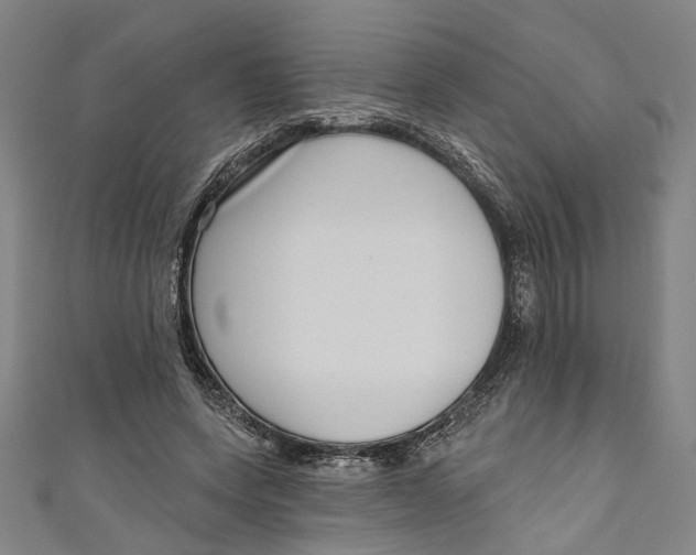 X0000111180543200907221051