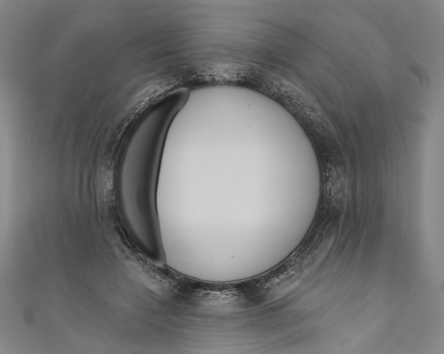 X0000111180548200907221051