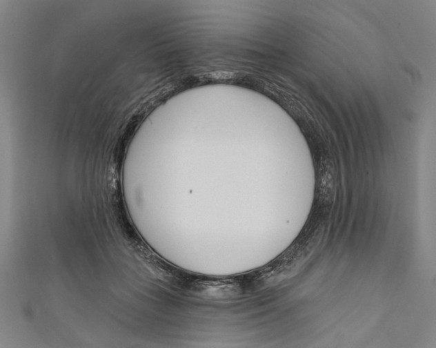 X0000111180555200907221051