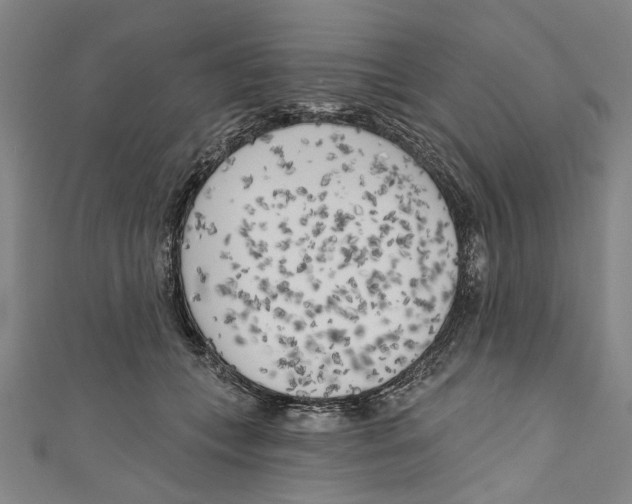 X0000111180559200907221051