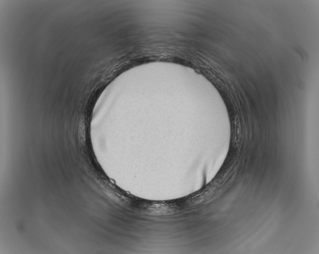 X0000111180562200907221051