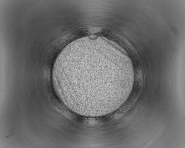 X0000111180565200907221051