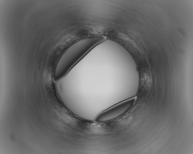 X0000111180566200907221051