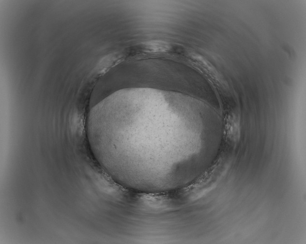 X0000111180568200907221051