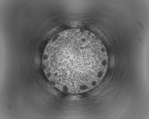 X0000111180569200907221051