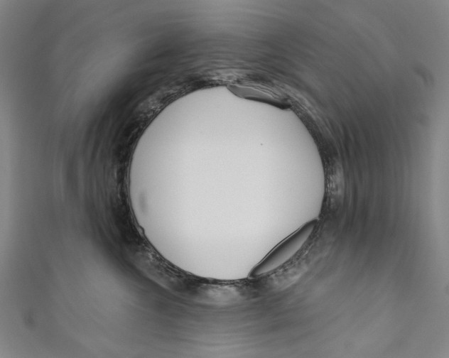 X0000111180572200907221051