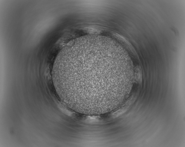 X0000111180573200907221051