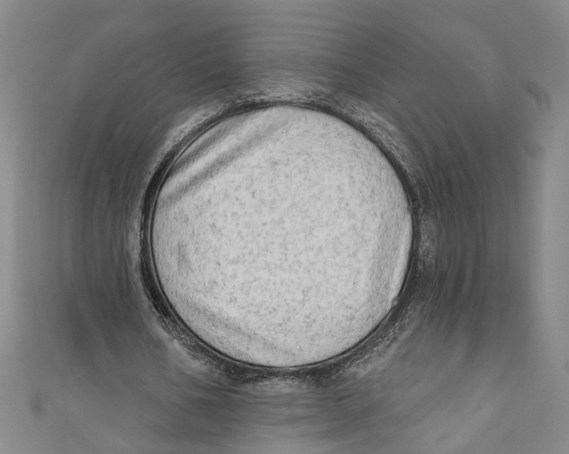 X0000111180578200907221050