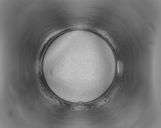 X0000111180579200907221050