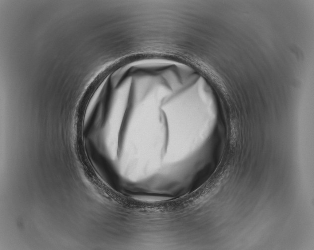 X0000111180580200907221050