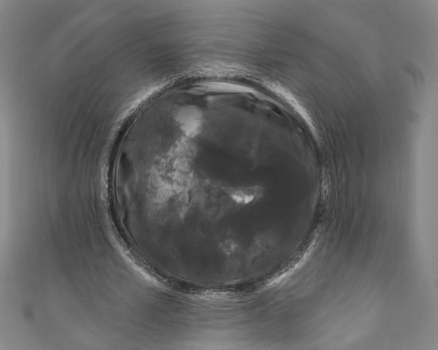 X0000111180581200907221050