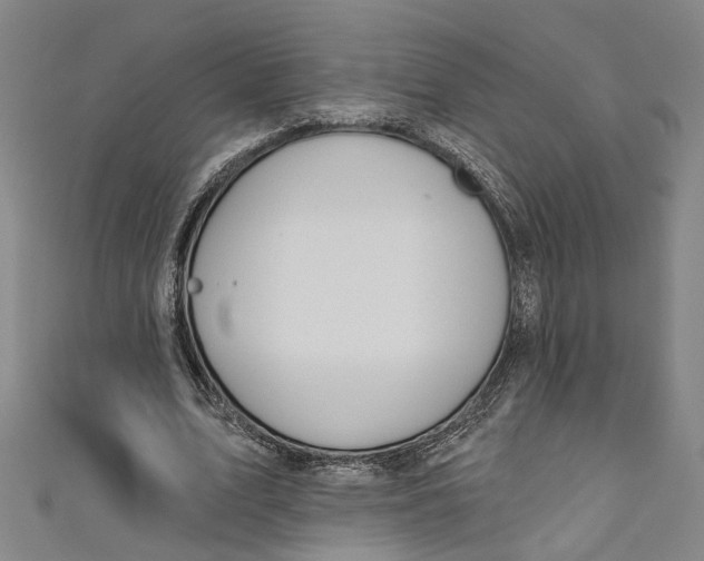 X0000111180583200907221050