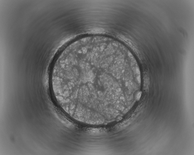 X0000111180584200907221050