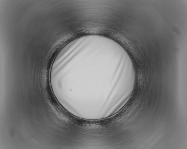 X0000111180586200907221050