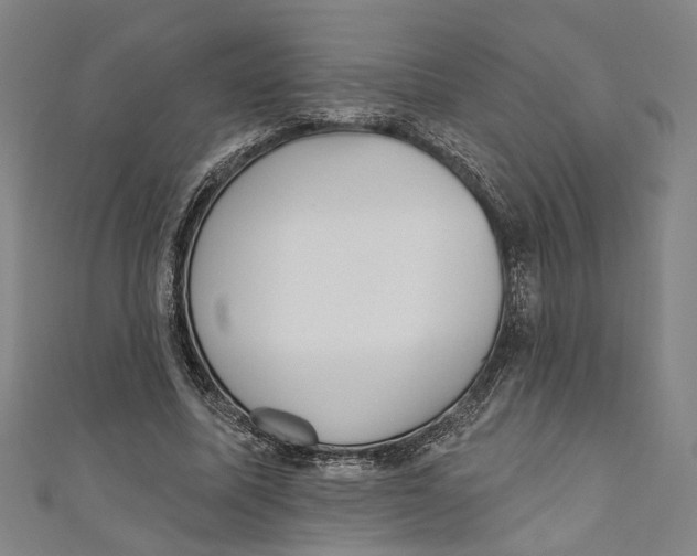 X0000111180587200907221050