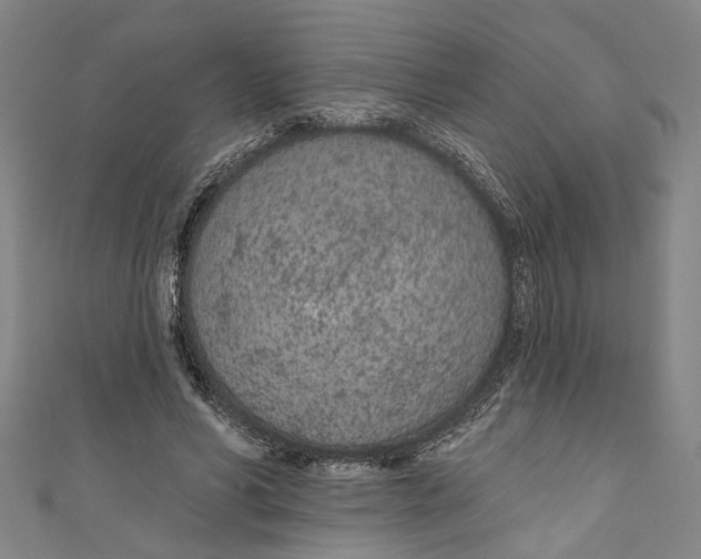 X0000111180590200907221050