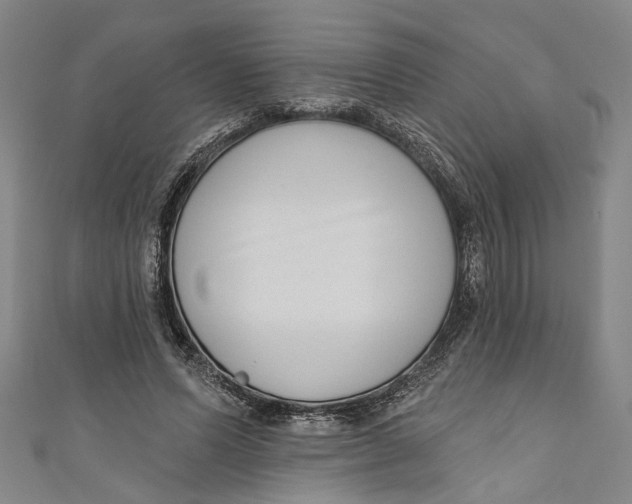 X0000111180591200907221050