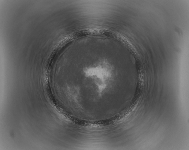 X0000111180593200907221050