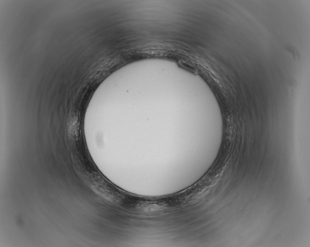 X0000111180597200907221050