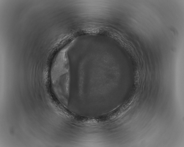 X0000111180600200907221050