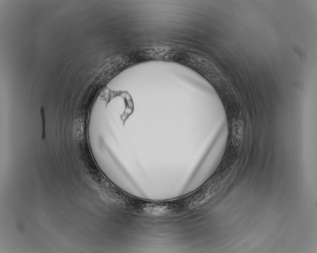 X0000111180602200907221050