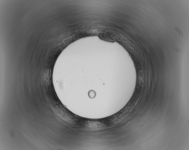 X0000111180605200907221050