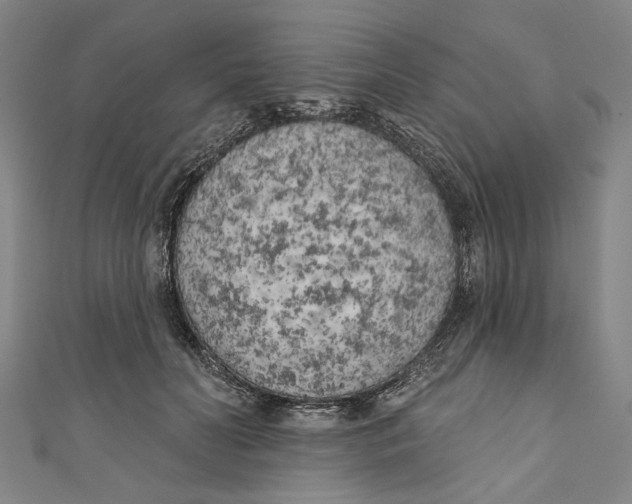 X0000111180606200907221050