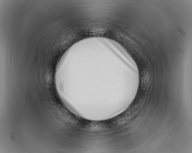 X0000111180608200907221050