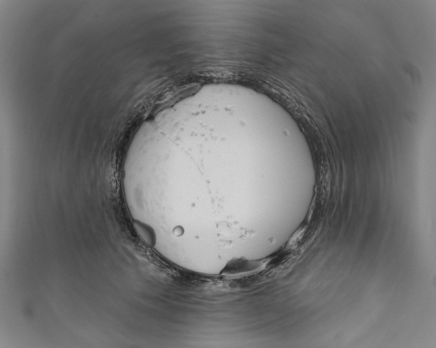 X0000111180609200907221050