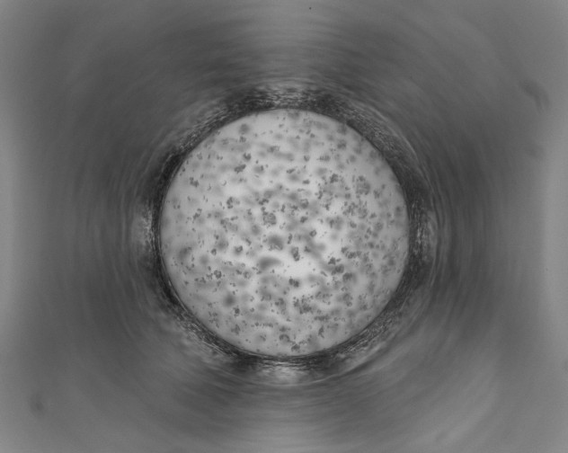 X0000111180610200907221050