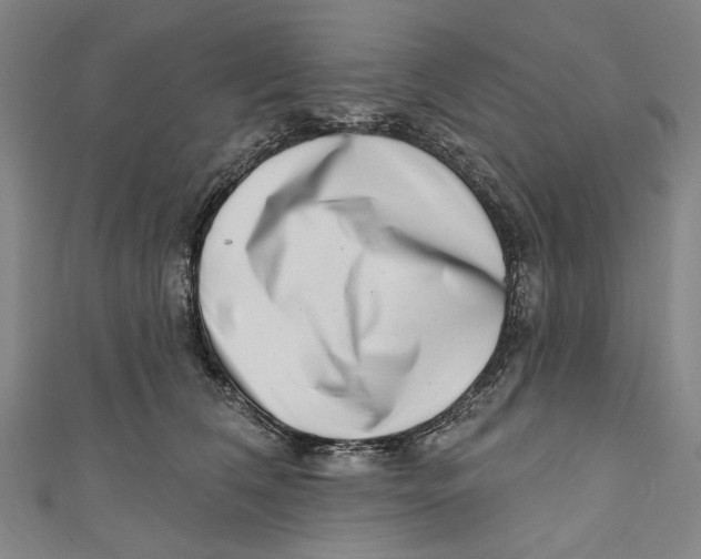 X0000111180612200907221050