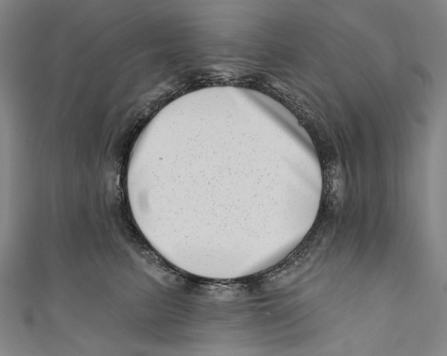 X0000111180615200907221050