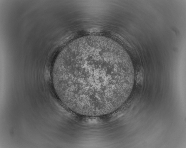 X0000111180618200907221050