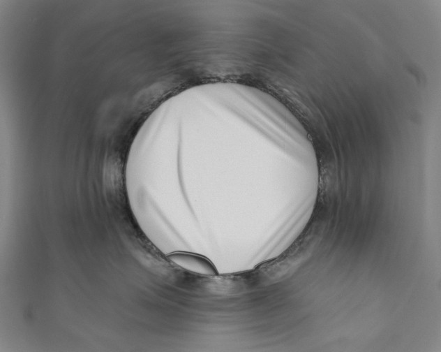 X0000111180623200907221050