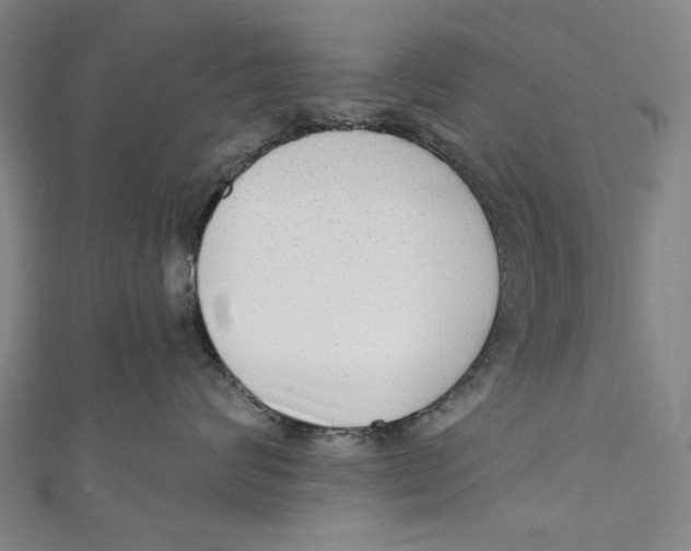 X0000111180624200907221050