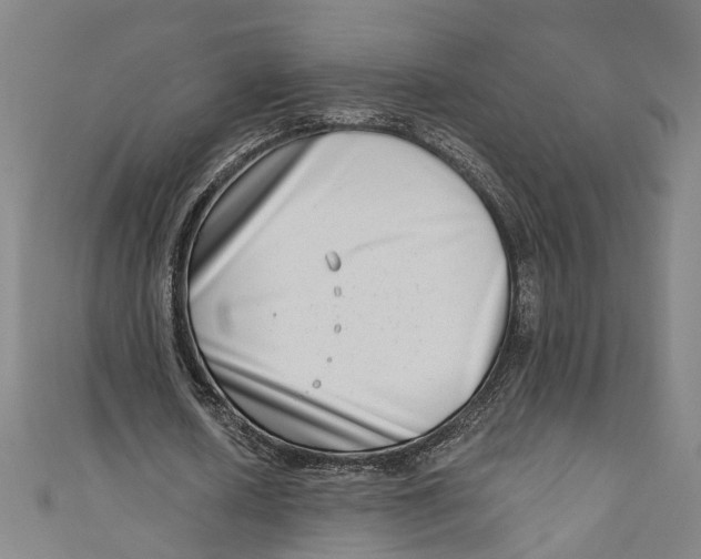 X0000111180626200907221049