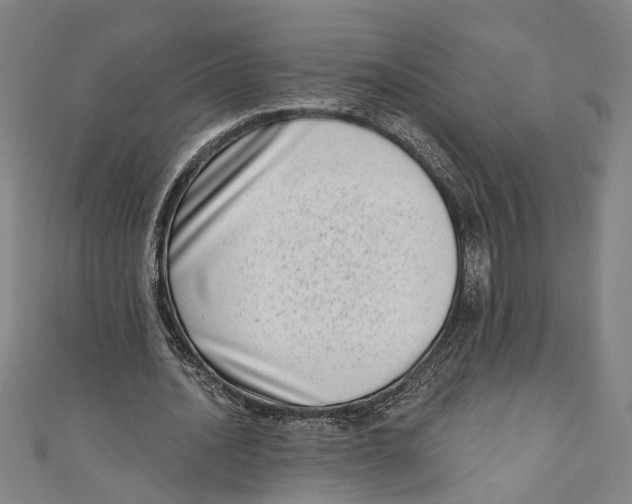 X0000111180628200907221049