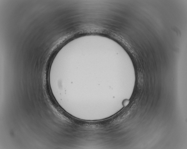 X0000111180629200907221049