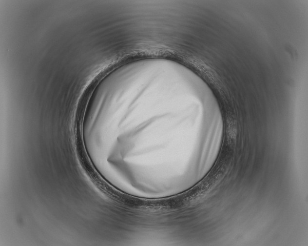 X0000111180630200907221049