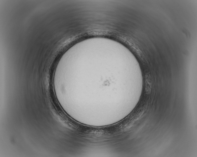 X0000111180631200907221049